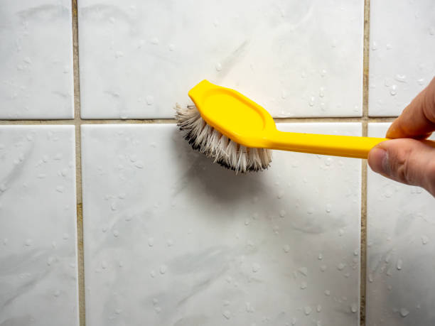 Best Emergency Mold Removal  in Santa Fe, NM