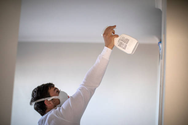 Mold Removal and Inspection in Santa Fe, NM