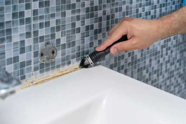 Best Commercial Mold Removal  in Santa Fe, NM