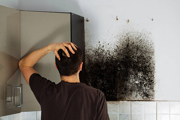 Best Certified Mold Removal  in Santa Fe, NM